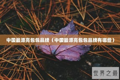 ​中国最漂亮包包品牌（中国最漂亮包包品牌有哪些）