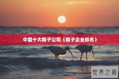 ​中国十大粽子公司（粽子企业排名）