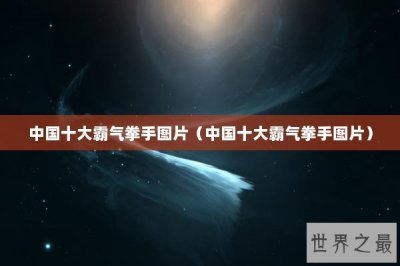 ​中国十大霸气拳手图片（中国十大霸气拳手图片）