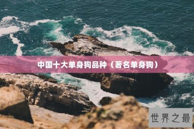 ​中国十大单身狗品种（著名单身狗）