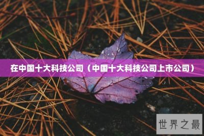 ​在中国十大科技公司（中国十大科技公司上市公司）