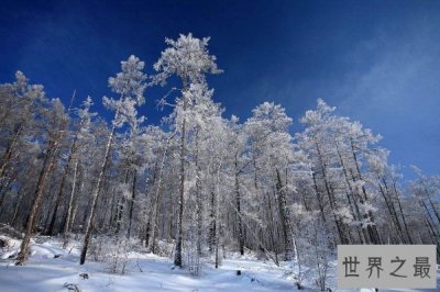 ​全国最冷的十个城市排名 牙克石最低可达零下52℃