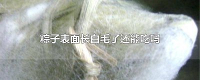 ​粽子起白毛还能吃吗 粽子上长的白毛是什么