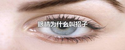 ​眼睛上痦子 眼子的图片