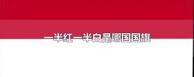 ​一半红一半白的国旗是哪个国家的国旗 一半红一半白的国旗是哪个国家发明的