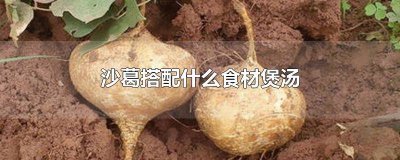 ​沙葛怎样煲汤好 沙葛怎样煲汤好喝