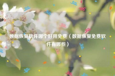 ​数据恢复软件哪个好用免费（数据恢复免费软件有哪些）