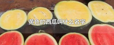 ​黄色的西瓜叫什么名字? 黄色的西瓜叫什么名字凤