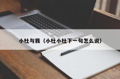 ​小杜与我（小杜小杜下一句怎么说）