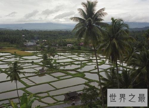 世界十大降雨量最多的城市，第一每年降雨量5000mm！