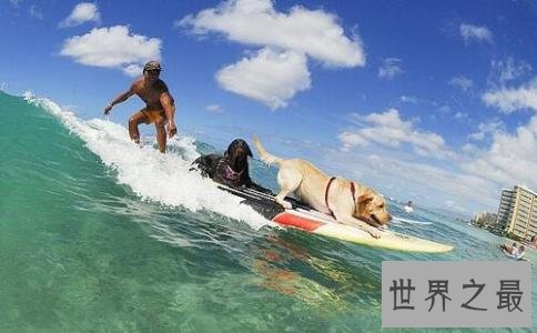 澳大利亚十大最美海滩，阳光沙滩美不胜收