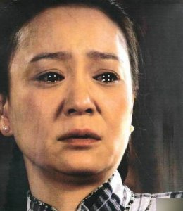 ​刘雪华演过的电视剧 刘雪华代表作