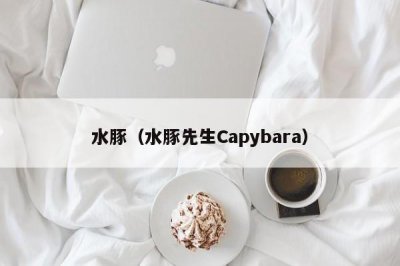 ​水豚（水豚先生Capybara）