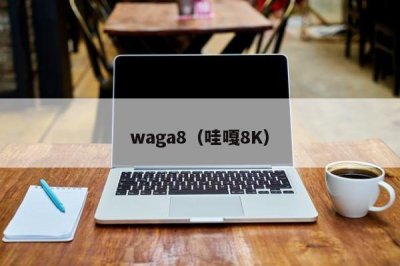 ​waga8（哇嘎8K）