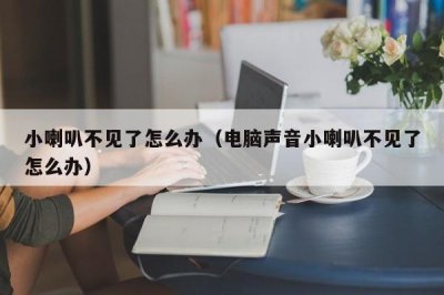 ​小喇叭不见了怎么办（电脑声音小喇叭不见了怎么办）