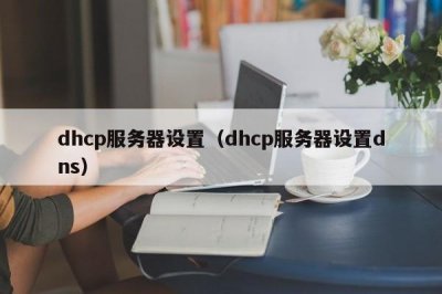 ​dhcp服务器设置（dhcp服务器设置dns）