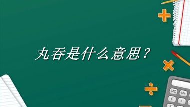 丸吞是什么意思？