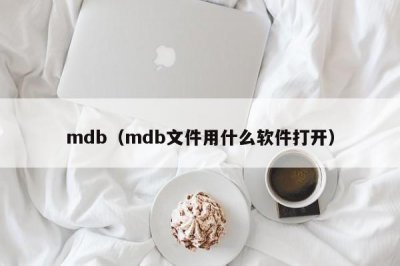 ​mdb（mdb文件用什么软件打开）