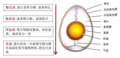 ​坏蛋是怎样练成的完整版 坏蛋是怎么练成的4最新章节