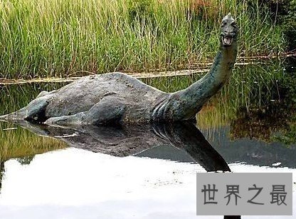 一个水怪的真相,整整骗了人们60年