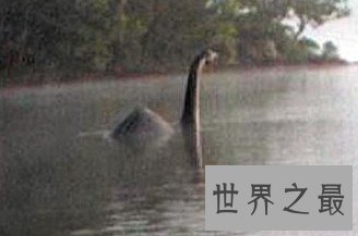 一个水怪的真相,整整骗了人们60年