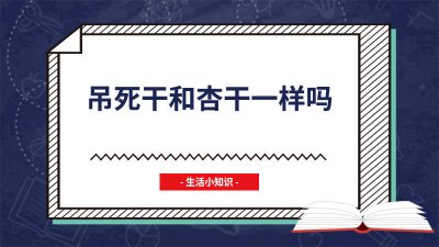 ​吊干杏仁的功效 吊干杏有什么作用和功效