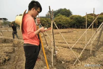 ​1亩地是多少方 农村一亩地多大面积