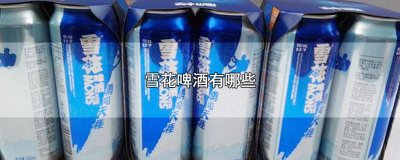 ​罐装的雪花啤酒 雪花啤酒有哪些包装品牌图片