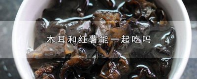 ​木耳和红薯能一起吃吗早餐中午 木耳和红薯能一起吃吗早餐做法