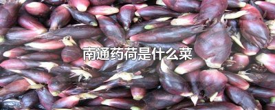 ​荷的功效与作用点 中药薄荷有什么效用