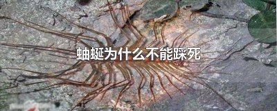 ​马陆为什么不能踩死老鼠 马陆能踩死吗