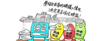 ​买盐是买加碘还是不加碘 盐应该买加碘还是不加碘