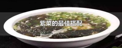 ​紫菜的最佳搭配食谱 紫菜搭配宜忌