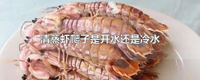 ​虾爬子怎么做好吃 清蒸还是煮 虾爬子蒸煮哪个好吃