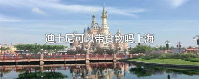 ​上海迪士尼不可以带食物吗 现在的上海迪士尼可不可以带食物吗