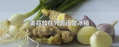 ​姜和蒜放冰箱里可以吗 蒜和姜可以放在冰箱吗