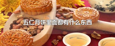 ​五仁月饼里面是什么东西 五仁月饼为什么叫五仁月饼