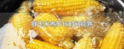 ​鲜玉米需要煮多久能熟 鲜玉米要煮多久才熟