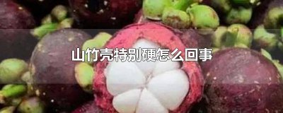 ​山竹硬是怎么回事儿 打不开的山竹是坏了吗?