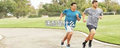 ​速耐是什么课 速耐是什么训练