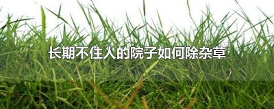 ​院子 杂草怎么处理 如何去除周围长满的杂草