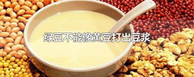 ​绿豆不能像黄豆那样打出豆浆 绿豆不能像黄豆那样打出豆浆为什么