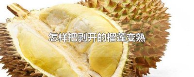 ​榴莲怎么弄熟了 已经打开了的榴莲怎么能让它变熟