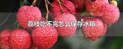 ​没冰箱荔枝怎么保存 没冰箱如何保存荔枝