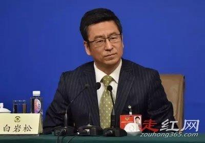 白岩松到底犯了什么事 没有被解雇退居二线了