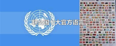 ​联合国五大官方语言是哪五个? 联合国六大国际语言