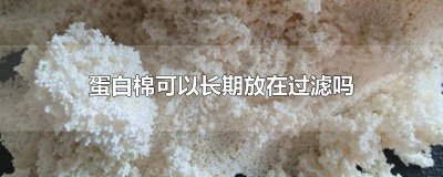 ​蛋白棉可以长期放在过滤吗活性炭可以长期放过滤箱里吗 蛋白棉放到底滤什么地方