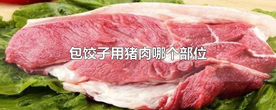 ​包饺子用什么位置的猪肉 包饺子用猪肉的什么部位的肉