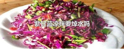 ​凉拌紫甘蓝用水焯吗 紫甘蓝拌凉菜用不用焯水