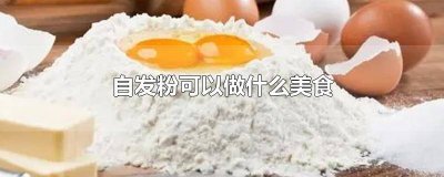 ​饺子用自发面可不可以 发面能不能做饺子皮